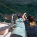 Nova Southeastern University Shark Tagging | FWFL2025