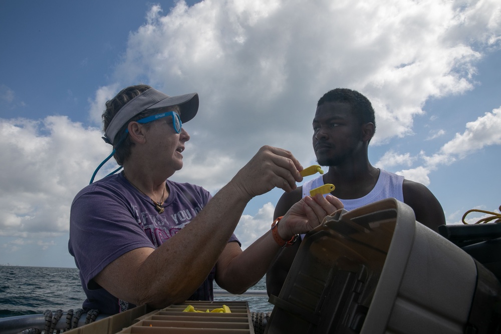 Nova Southeastern University Shark Tagging | FWFL 2025