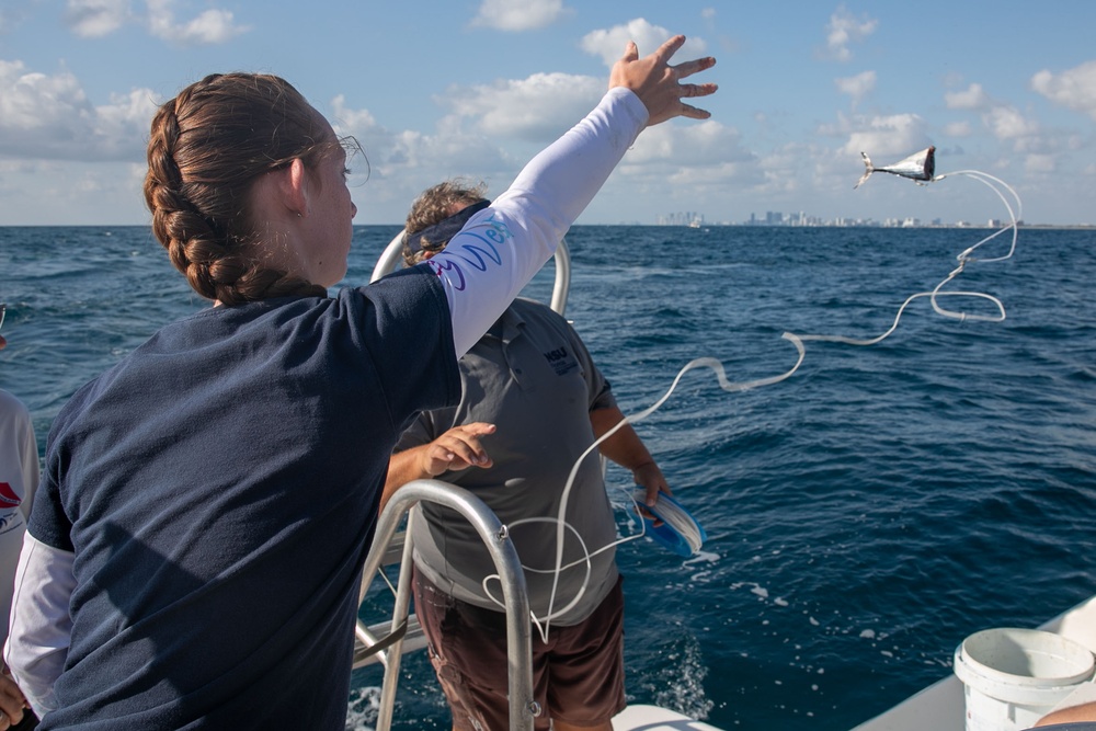 Nova Southeastern University Shark Tagging | FWFL 2025