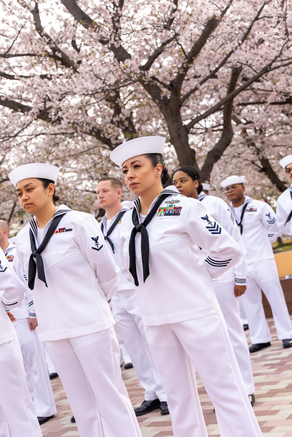 USNMRTC Yokosuka DCSS Dress White Inspection