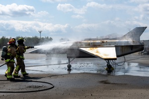 Fort McCoy Natural Resources Branch Chief speaks to media aboout prescribed burn process
