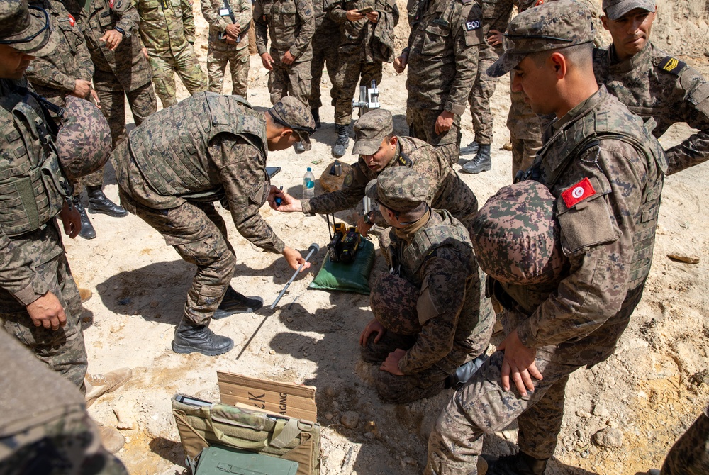 US, Tunisia conduct precision explosive ordnance destruction at African Lion 2025.