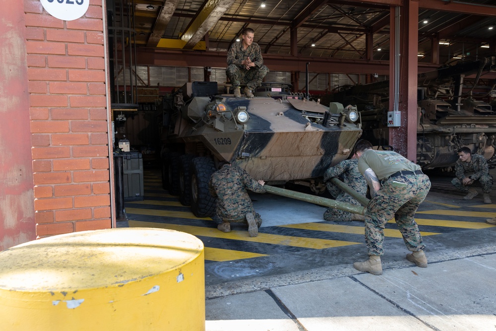 U.S. Marines, Australians study for Coral-Balmoral
