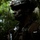 31st MEU | 1st LAR conducts Jungle Familiarization