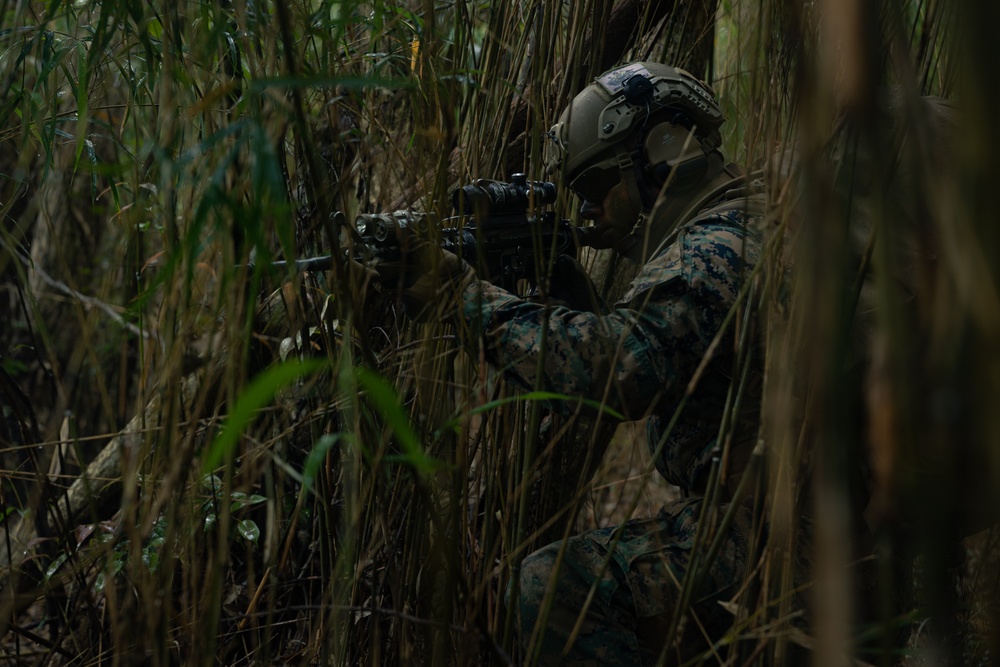 31st MEU | 1st LAR conducts Jungle Familiarization