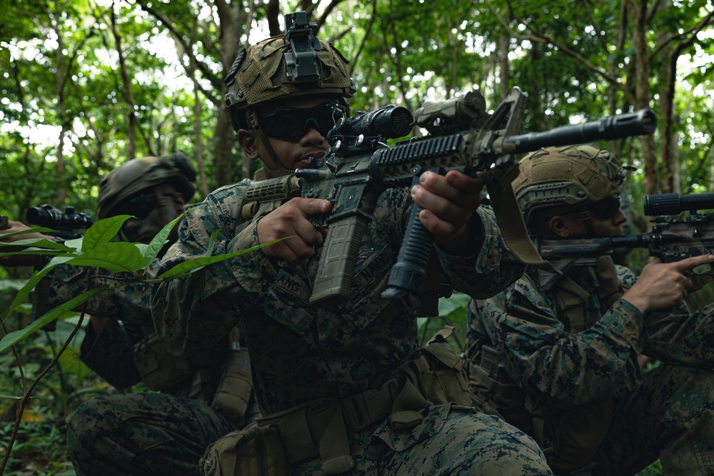 31st MEU | 1st LAR conducts Jungle Familiarization