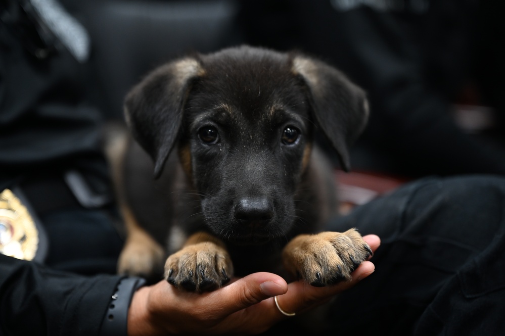 Boonie Dog Support Agreement Signing