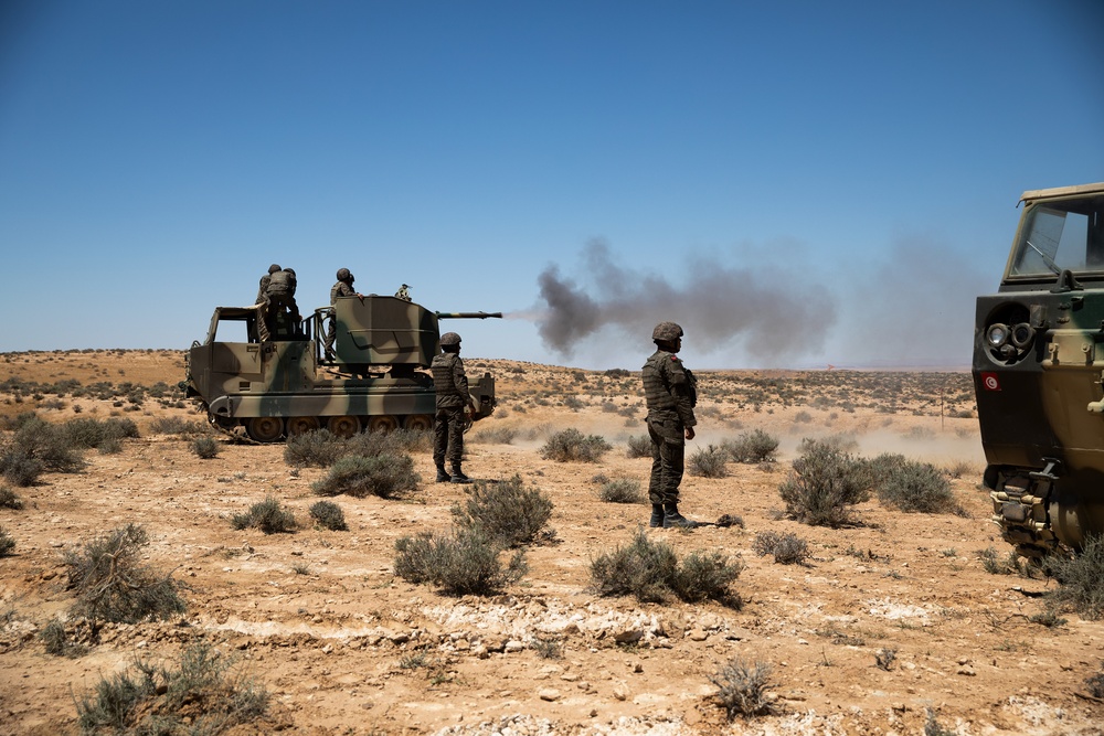 Tunisian military demonstrates anti-aircraft weapons to US forces