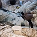 CJTF-HOA, Djiboutian service members prepare for Bull Shark 25-2