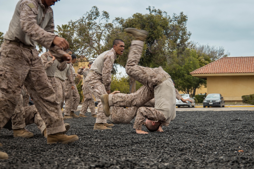 Lima Company Combat Conditioning Course
