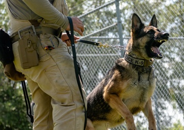 Tampa Bay Lightning Owners Doug Ostrover and Marc Lipschultz connect with MacDill service members