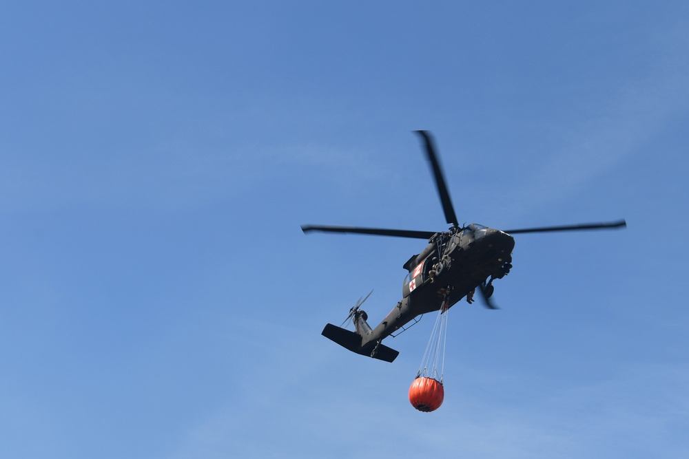 34th CAB Conducts Operation Burn Out with MNDNR at Camp Ripley
