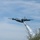 Watering Trees: A C-130 (MAFFS 4) from California Air National Guard's 146th Airlift Wing performs a water drop April 24, 2025, during Modular Airborne Fire Fighting System (MAFFS) Spring Training 2025
