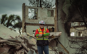 USACE Engineer and Arborist Team Up to Safeguard LA Wildfire Rebuild Efforts