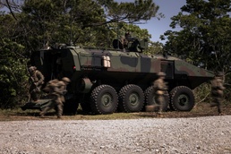 31st MEU | Mechanized Raid