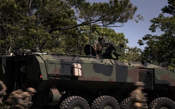 Ready, Partnered, Lethal: 31st MEU completes MEUEX
