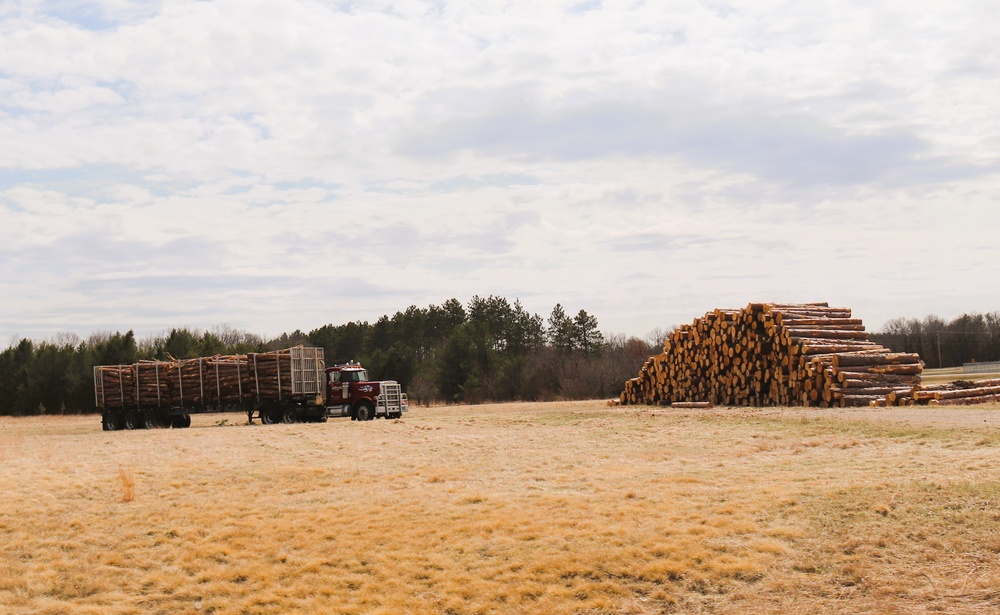 Fort McCoy Forestry continues managing logging, tree planting efforts across post during April 2025