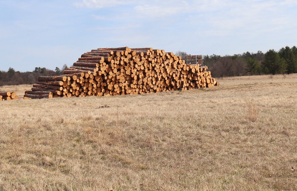 Fort McCoy Forestry continues managing logging, tree planting efforts across post during April 2025