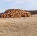 Fort McCoy Forestry continues managing logging, tree planting efforts across post during April 2025