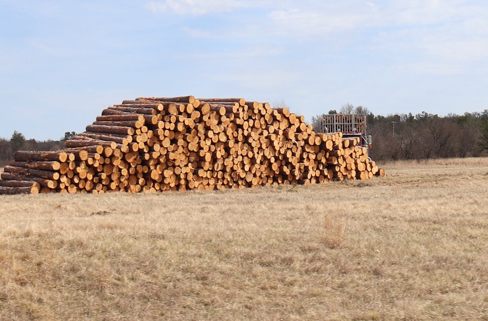 Fort McCoy Forestry continues managing logging, tree planting efforts across post during April 2025