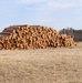 Fort McCoy Forestry continues managing logging, tree planting efforts across post during April 2025