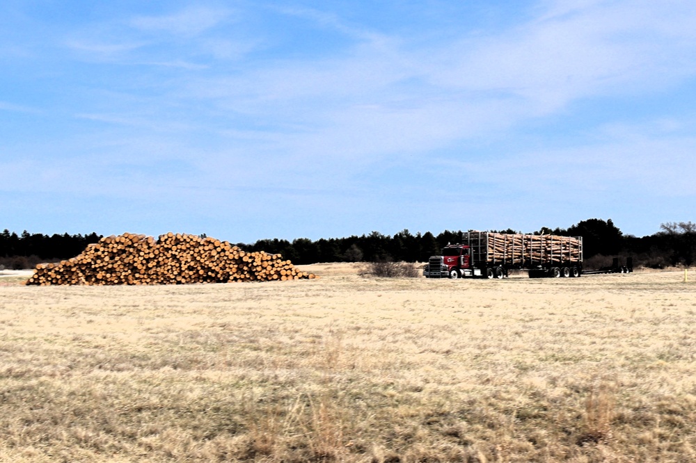 Fort McCoy Forestry continues managing logging, tree planting efforts across post during April 2025