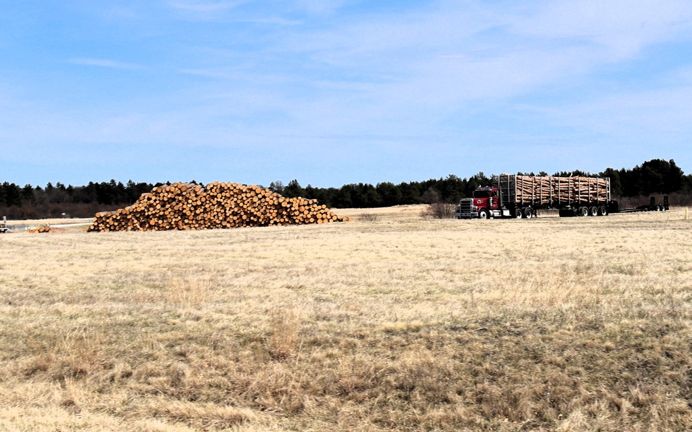 Fort McCoy Forestry continues managing logging, tree planting efforts across post during April 2025