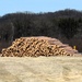 Fort McCoy Forestry continues managing logging, tree planting efforts across post during April 2025