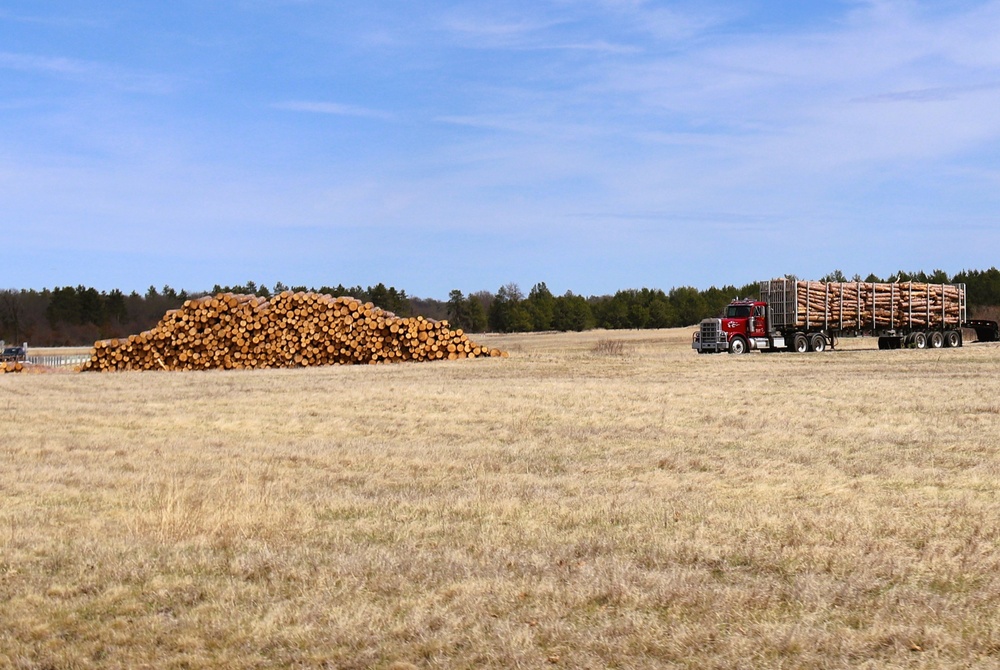 Fort McCoy Forestry continues managing logging, tree planting efforts across post during April 2025