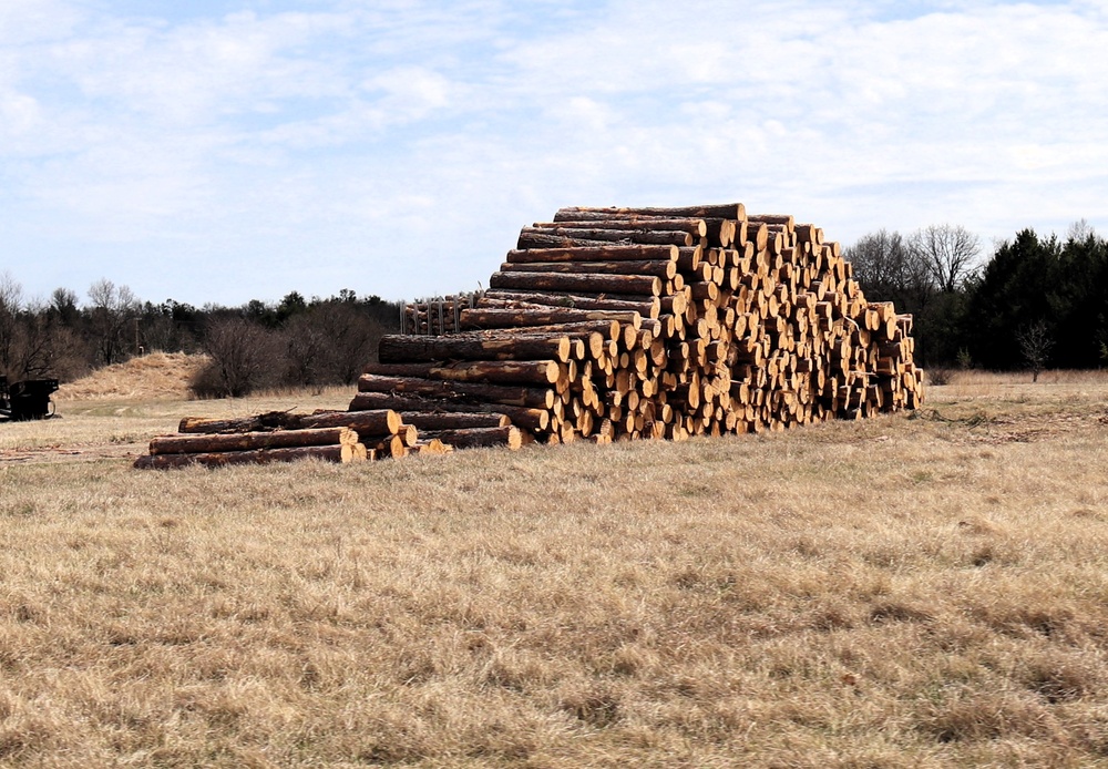 Fort McCoy Forestry continues managing logging, tree planting efforts across post during April 2025