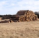 Fort McCoy Forestry continues managing logging, tree planting efforts across post during April 2025