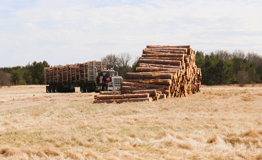 Fort McCoy Forestry continues managing logging, tree planting efforts across post during April 2025