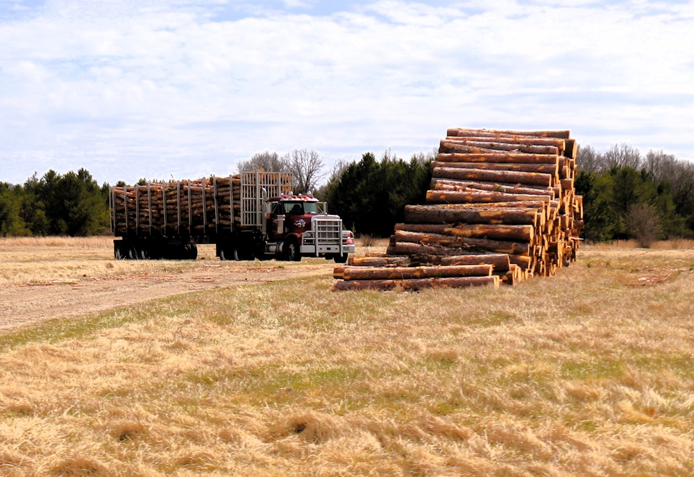 Fort McCoy Forestry continues managing logging, tree planting efforts across post during April 2025