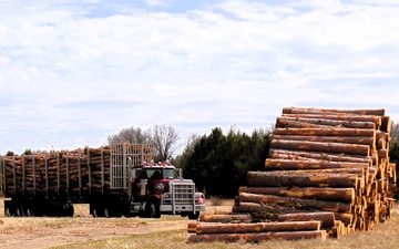 Fort McCoy Forestry continues managing logging, tree planting efforts across post during April 2025