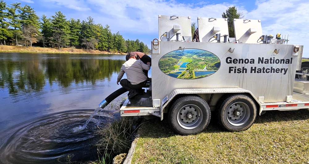 U.S. Fish and Wildlife Service completes 2025 stocking of more than 15,000 rainbow trout in Fort McCoy’s waterways