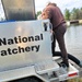 U.S. Fish and Wildlife Service completes 2025 stocking of more than 15,000 rainbow trout in Fort McCoy’s waterways