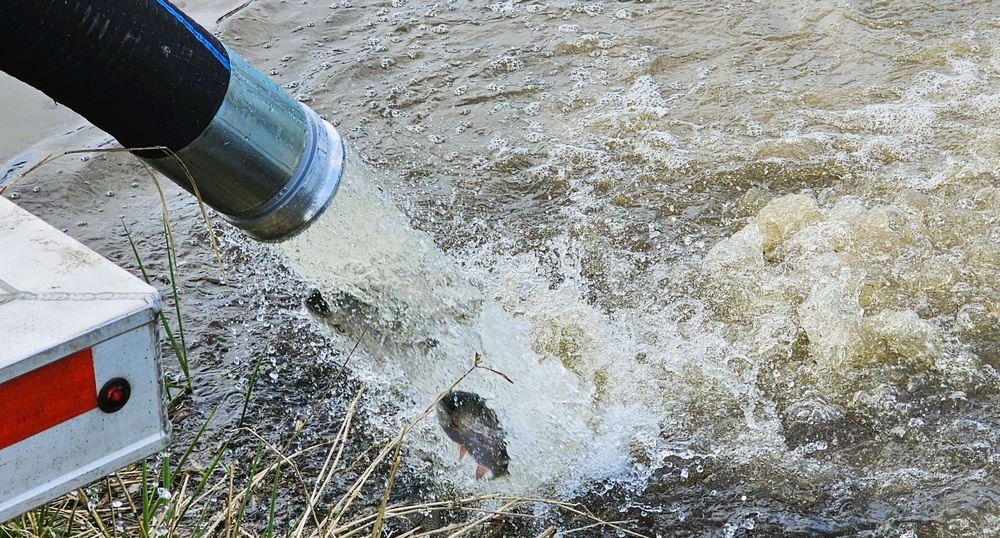 U.S. Fish and Wildlife Service completes 2025 stocking of more than 15,000 rainbow trout in Fort McCoy’s waterways