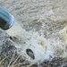U.S. Fish and Wildlife Service completes 2025 stocking of more than 15,000 rainbow trout in Fort McCoy’s waterways