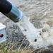 U.S. Fish and Wildlife Service completes 2025 stocking of more than 15,000 rainbow trout in Fort McCoy’s waterways