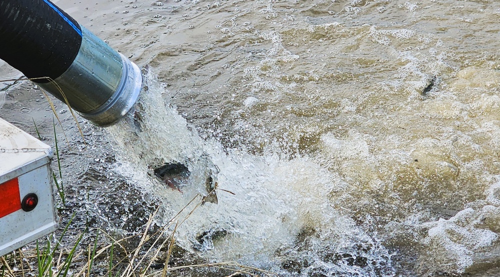 U.S. Fish and Wildlife Service completes 2025 stocking of more than 15,000 rainbow trout in Fort McCoy’s waterways