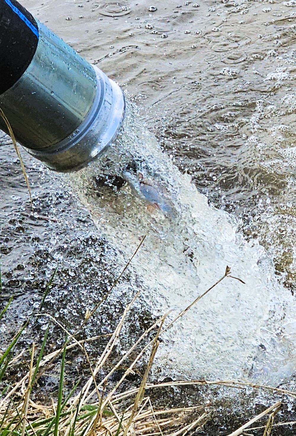 U.S. Fish and Wildlife Service completes 2025 stocking of more than 15,000 rainbow trout in Fort McCoy’s waterways