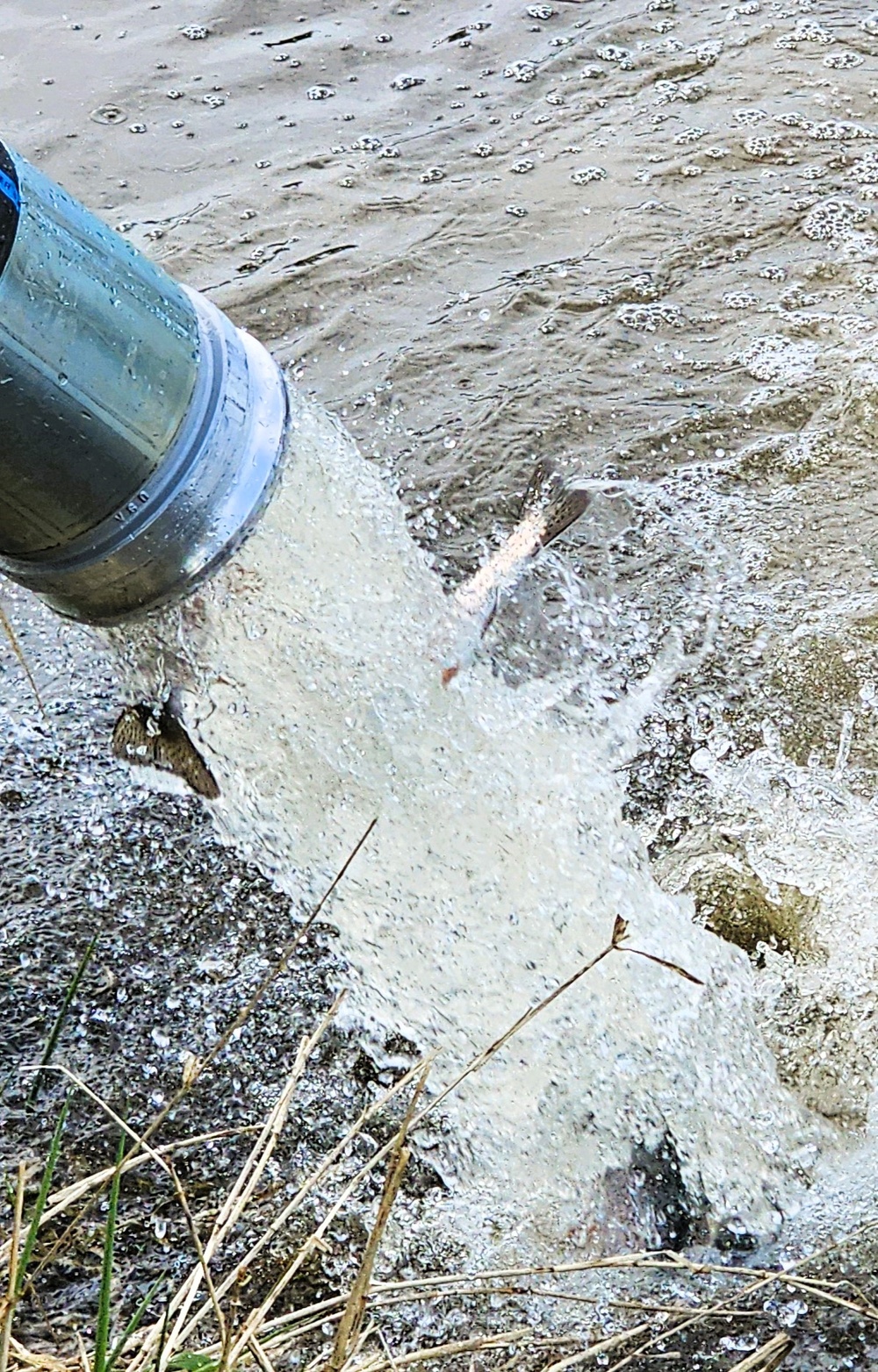 U.S. Fish and Wildlife Service completes 2025 stocking of more than 15,000 rainbow trout in Fort McCoy’s waterways