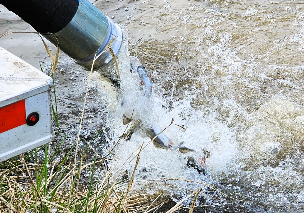 U.S. Fish and Wildlife Service completes 2025 stocking of more than 15,000 rainbow trout in Fort McCoy’s waterways