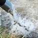 U.S. Fish and Wildlife Service completes 2025 stocking of more than 15,000 rainbow trout in Fort McCoy’s waterways