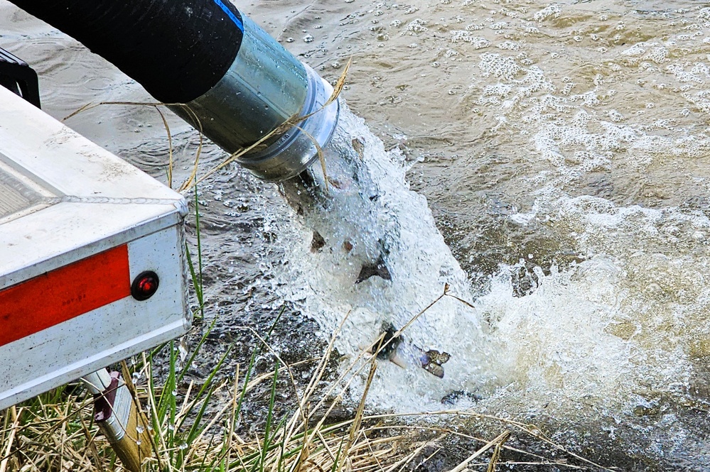 U.S. Fish and Wildlife Service completes 2025 stocking of more than 15,000 rainbow trout in Fort McCoy’s waterways