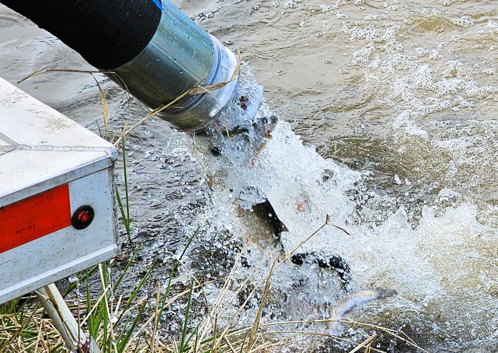 U.S. Fish and Wildlife Service completes 2025 stocking of more than 15,000 rainbow trout in Fort McCoy’s waterways