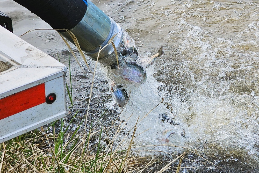 U.S. Fish and Wildlife Service completes 2025 stocking of more than 15,000 rainbow trout in Fort McCoy’s waterways