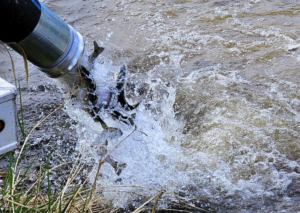 U.S. Fish and Wildlife Service completes 2025 stocking of more than 15,000 rainbow trout in Fort McCoy’s waterways