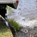 U.S. Fish and Wildlife Service completes 2025 stocking of more than 15,000 rainbow trout in Fort McCoy’s waterways