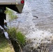 U.S. Fish and Wildlife Service completes 2025 stocking of more than 15,000 rainbow trout in Fort McCoy’s waterways